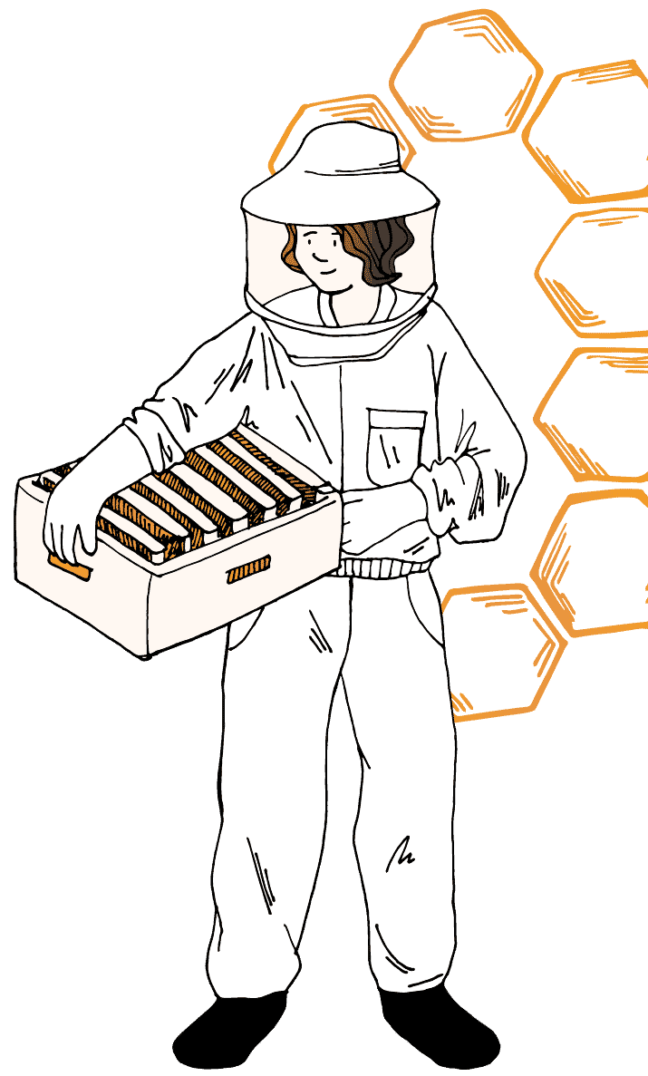 Illustration of Megan Martin wearing a bee suit holding bars of golden honey. There is honeycomb behind her.