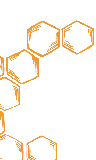 Honey comb illustration