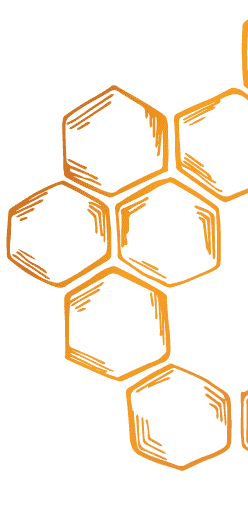 Honey comb illustration