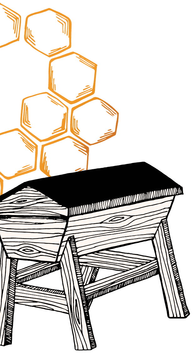 Illustration of a top bar hive for honey bees with a honeycomb in the background.
